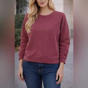 Madewell Burgundy Sweatshirt